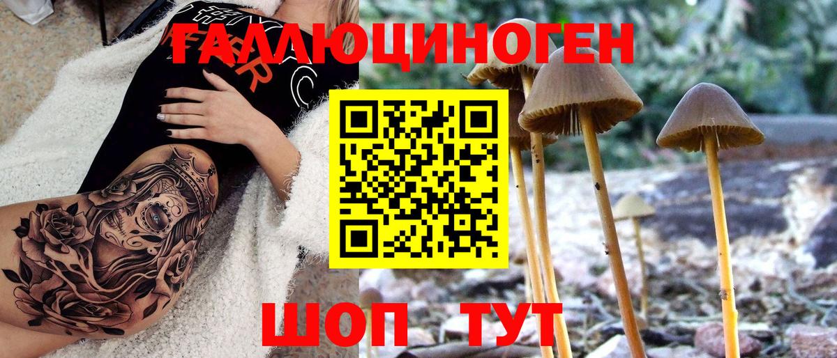 Людиново  Псилоцибиновые грибы Psilocybine cubensis  Псилоцибиновые грибы Psilocybine cubensis  Вход с VPN 